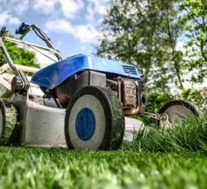 EXCITING NEWS. We know that when you leave your home to venture onto a new place, you've probably packed the mower, line trimmer, and branch loppers.

So, we now offer lawn mowing, edging, and simple garden care. 

Let us clean your house and clean up the yard. YOUR ONE STOP CLEANING COMPANY